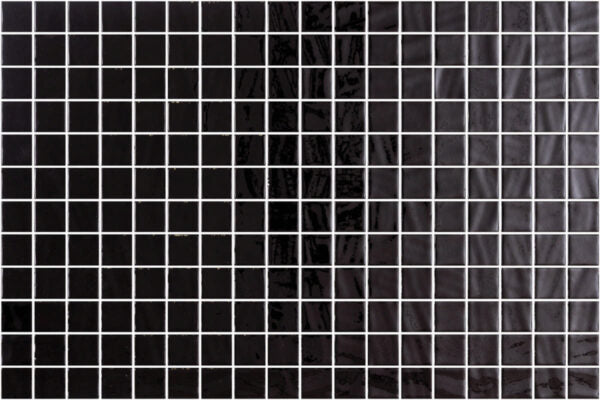 Onix Lisa Black Pool Tile
