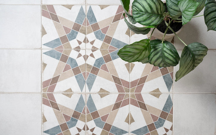 The Rajola Collection