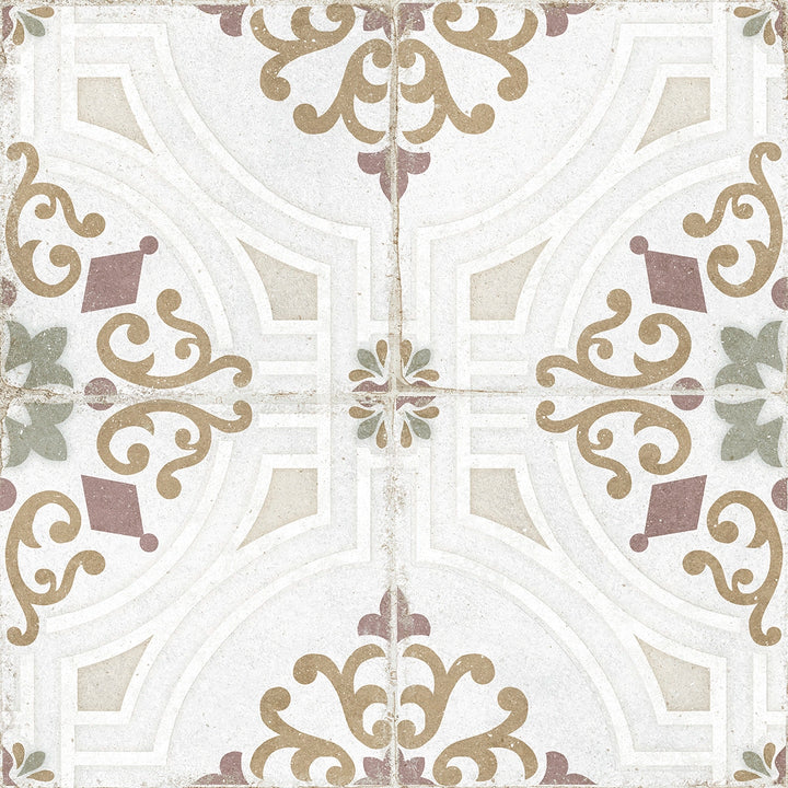 The Rajola Collection