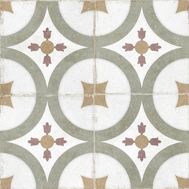 The Rajola Collection