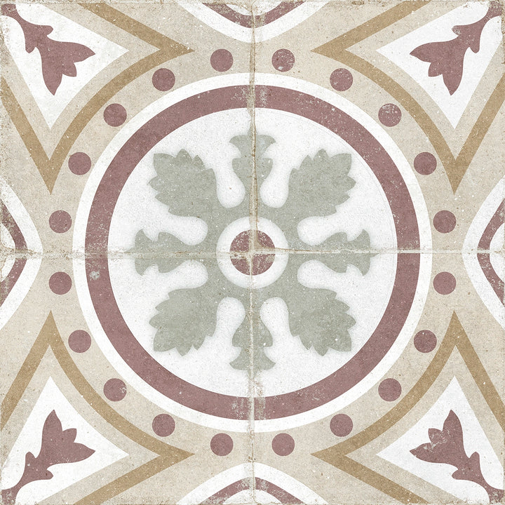 The Rajola Collection