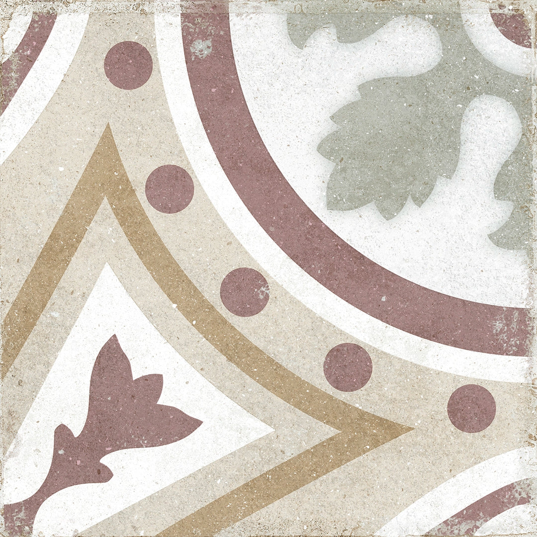 The Rajola Collection