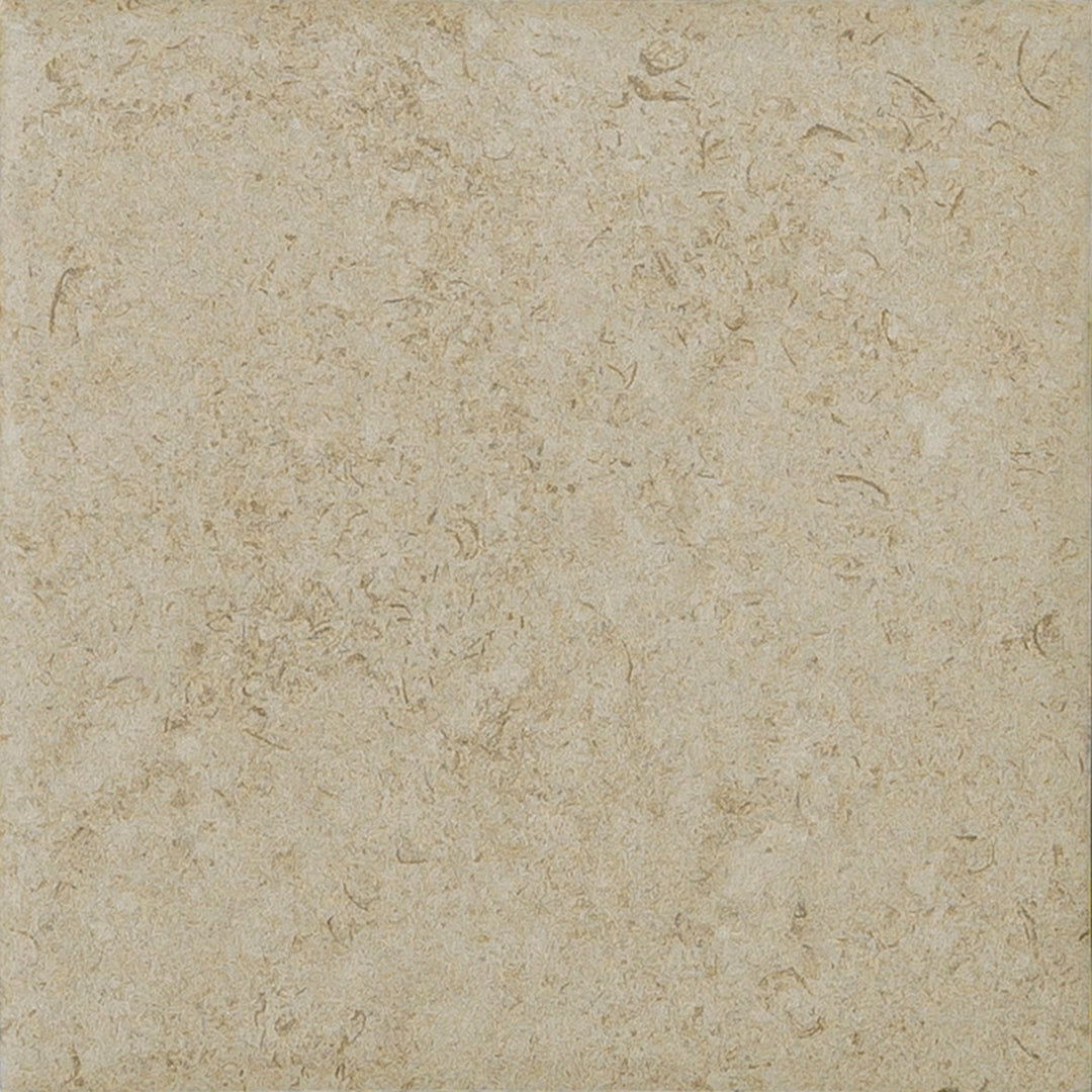 The Yellowstone Collection