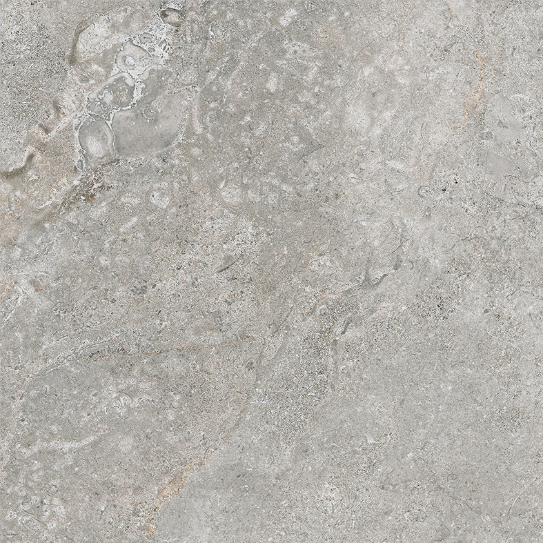Atlantic Tundra Collection Grey Porcelain Tiles