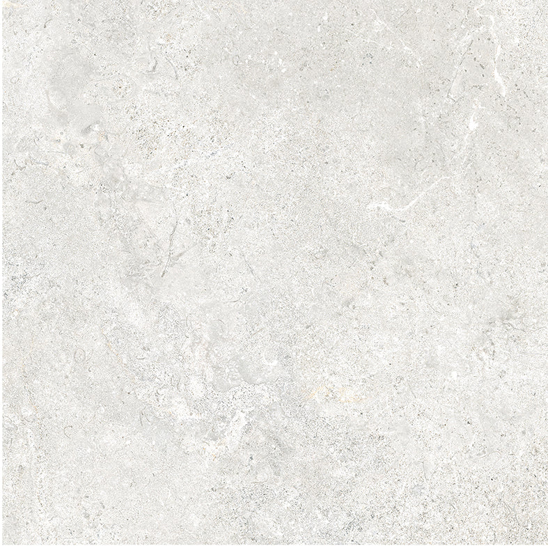 Atlantic Tundra Collection White Porcelain Tiles