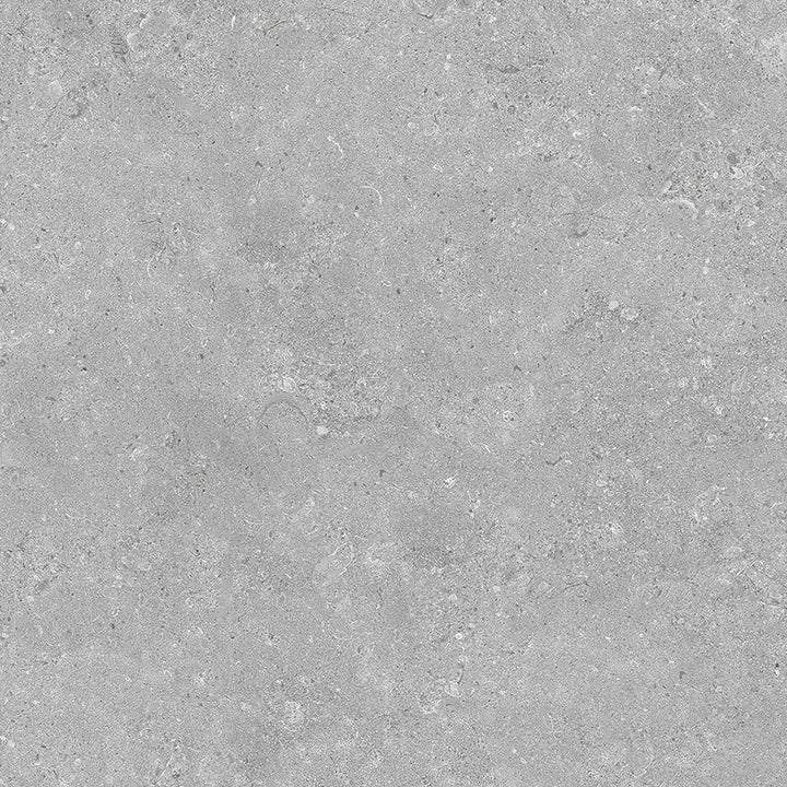 Bali Series Grey Matt & External Porcelain Tile