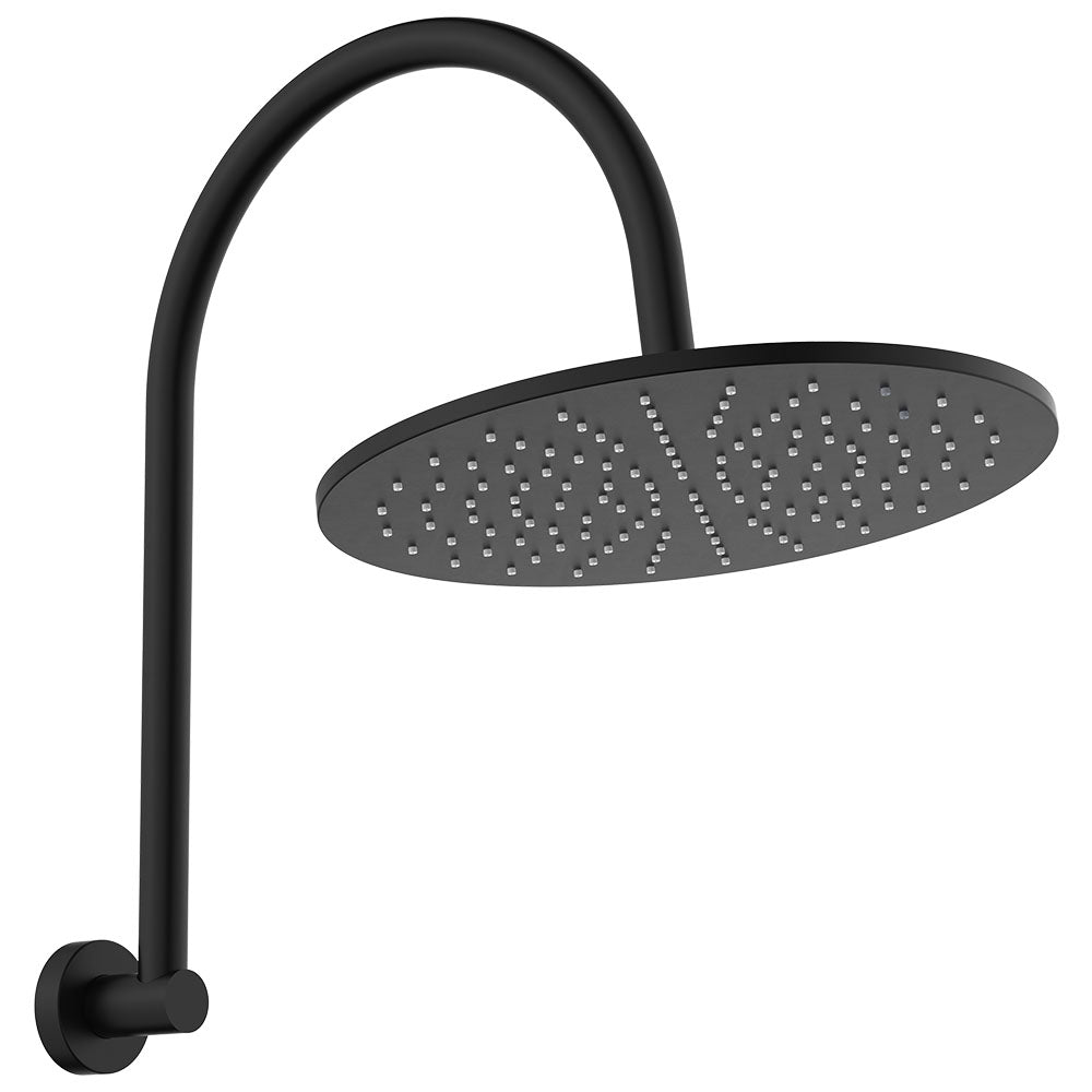 Fienza Empire Slim Curved Shower Arm Set