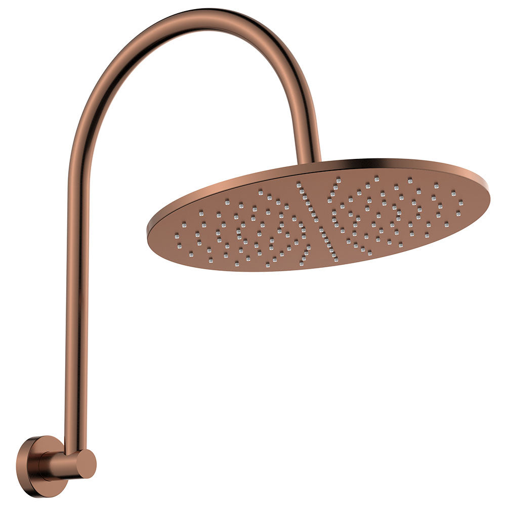 Fienza Empire Slim Curved Shower Arm Set