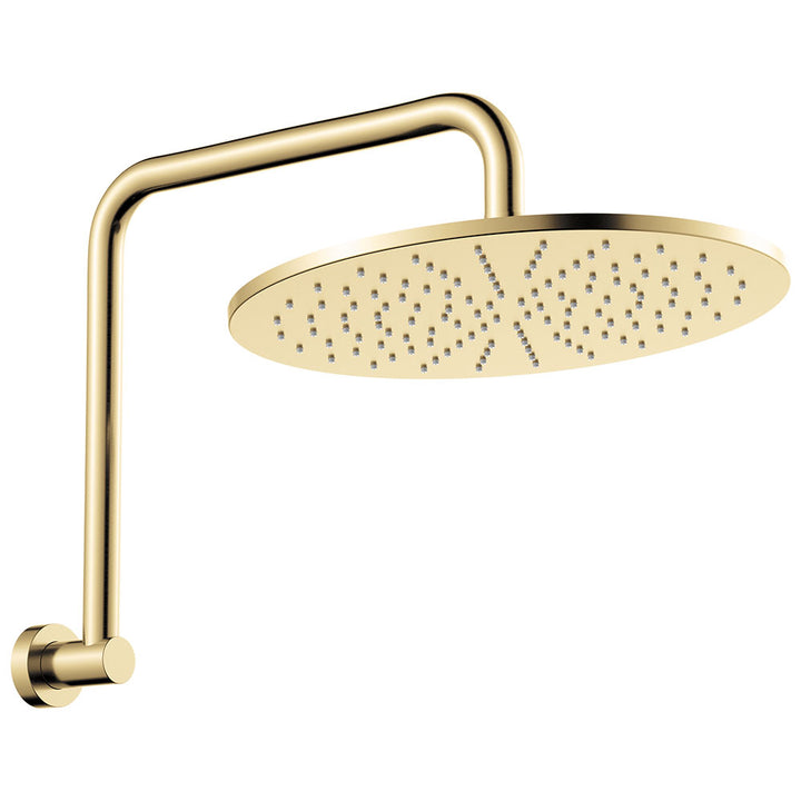 Fienza Empire Slim Gooseneck Shower Arm Set