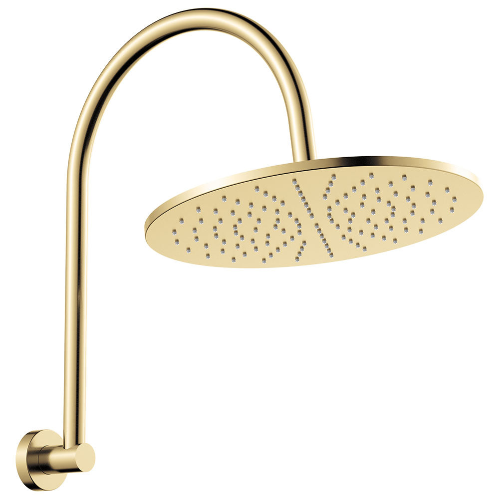 Fienza Empire Slim Curved Shower Arm Set