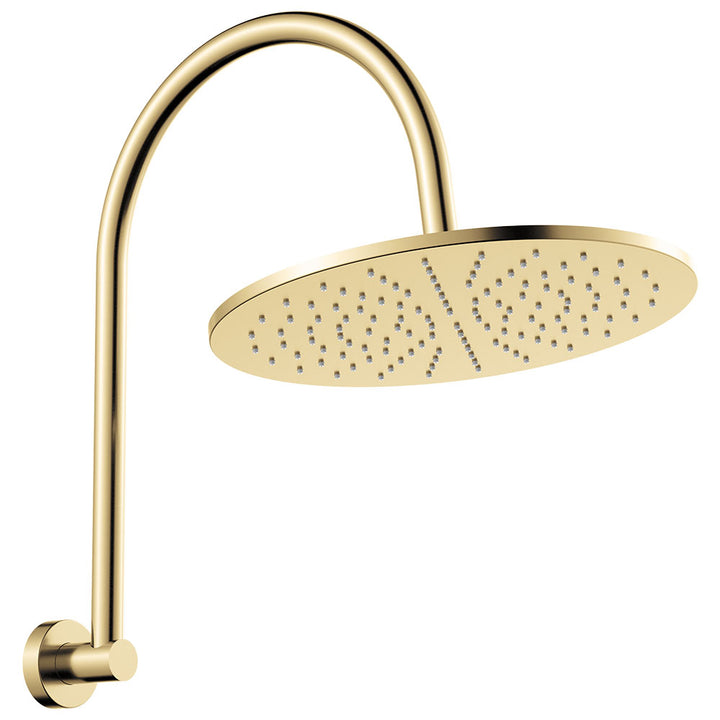 Fienza Empire Slim Curved Shower Arm Set