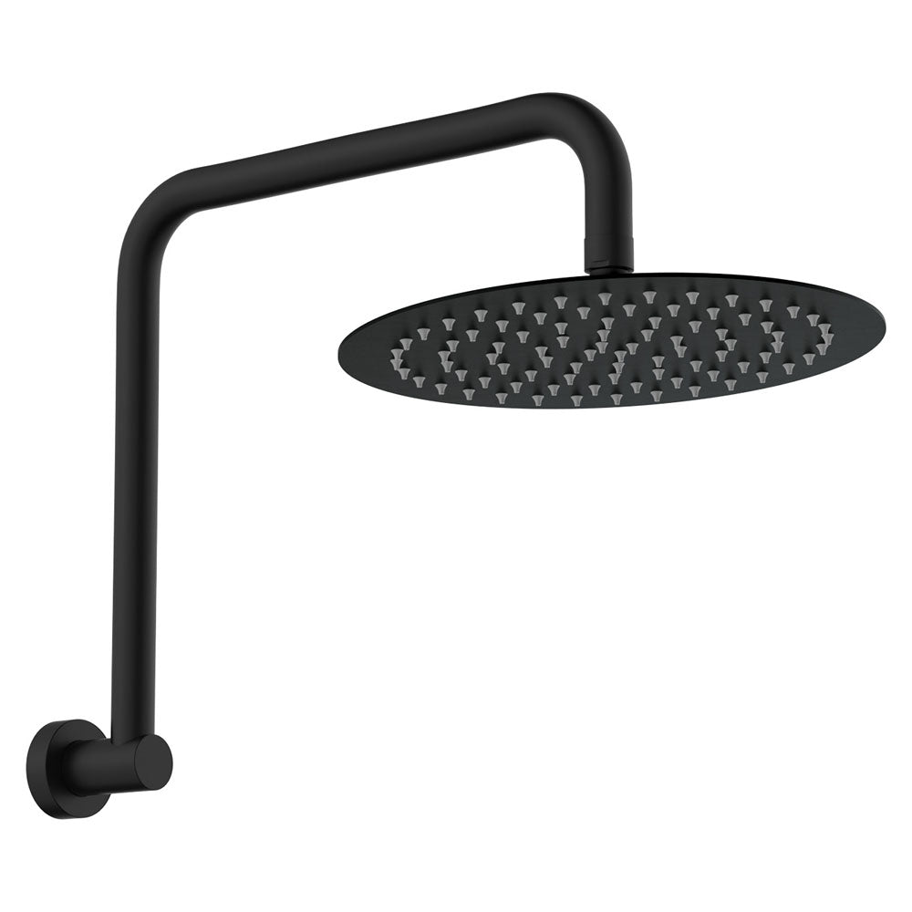 Fienza Kaya Gooseneck Shower Arm Set