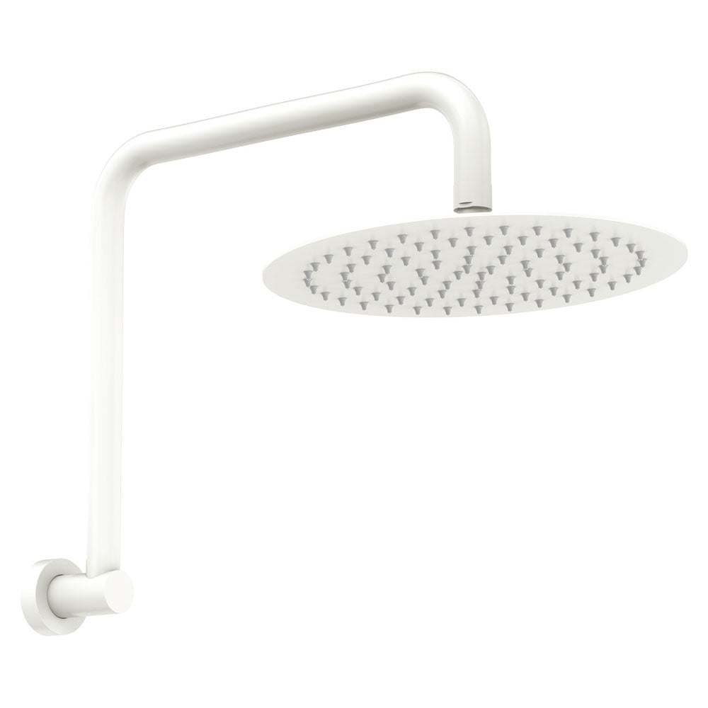 Fienza Kaya Gooseneck Shower Arm Set