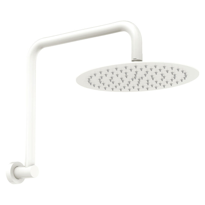 Fienza Kaya Gooseneck Shower Arm Set