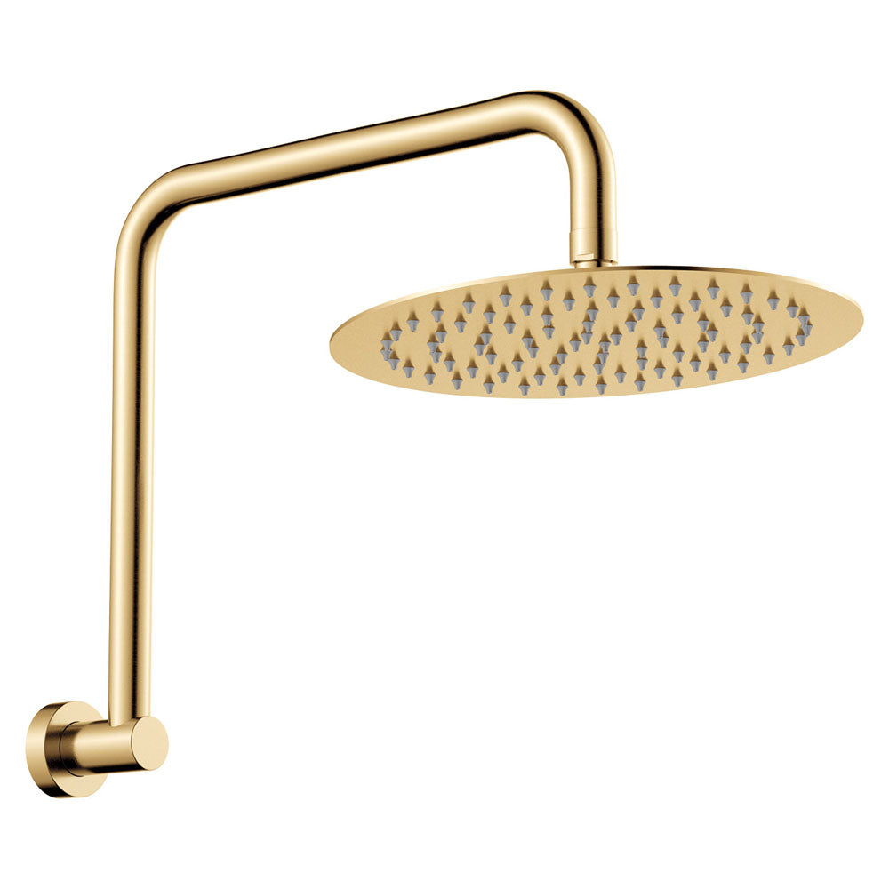 Fienza Kaya Gooseneck Shower Arm Set