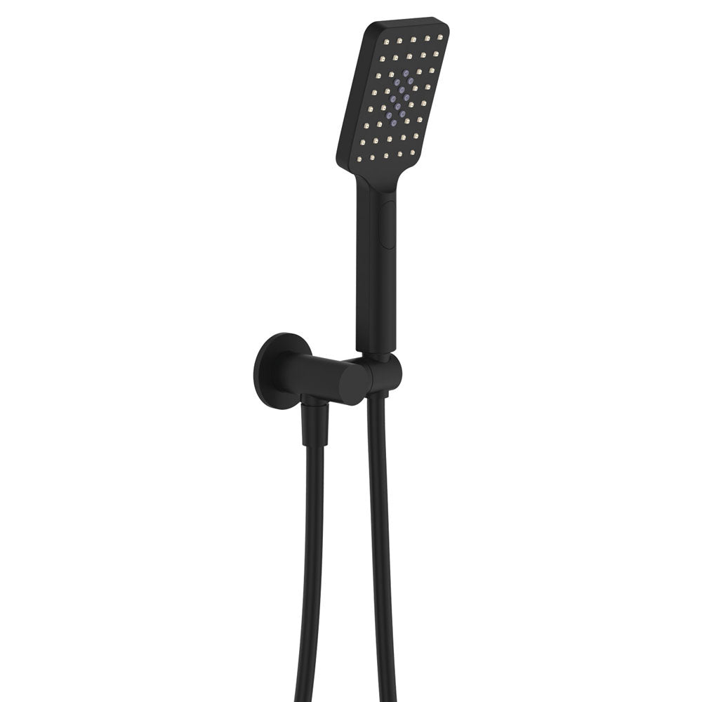 Fienza Tono Hand Shower, Round Plate
