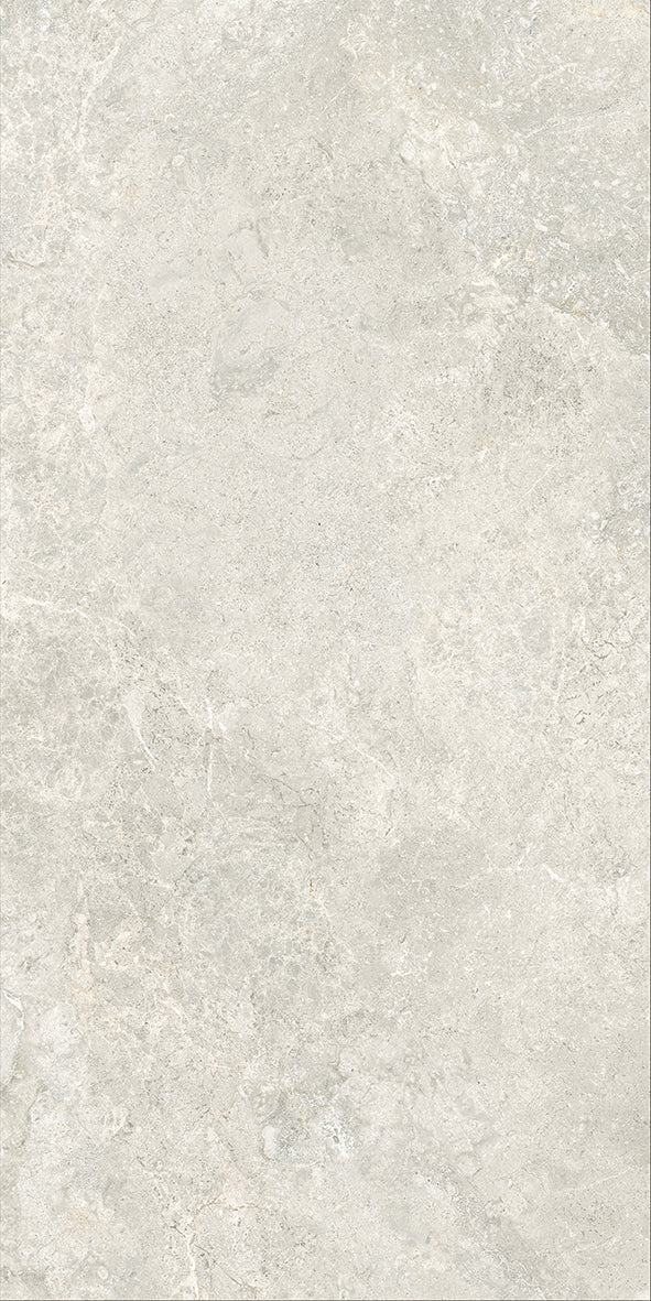 Atlantic Tundra Collection Beige Porcelain Tiles