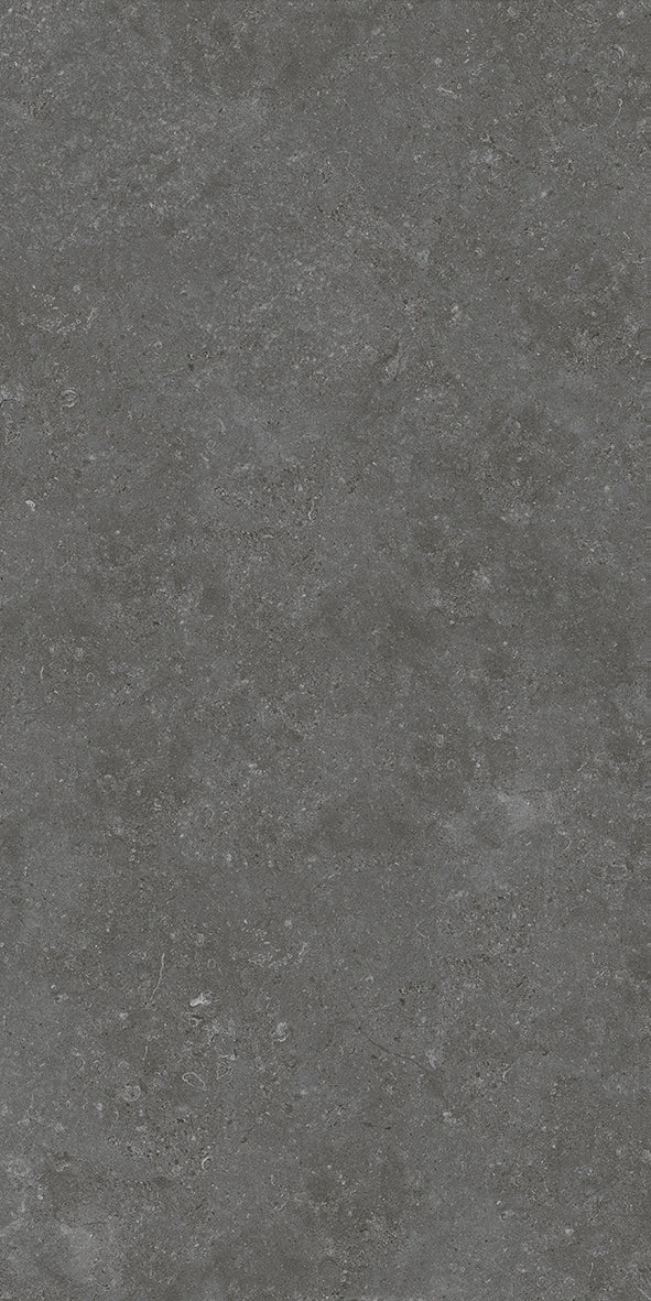 Bali Series Charcoal Matt & External Porcelain Tile