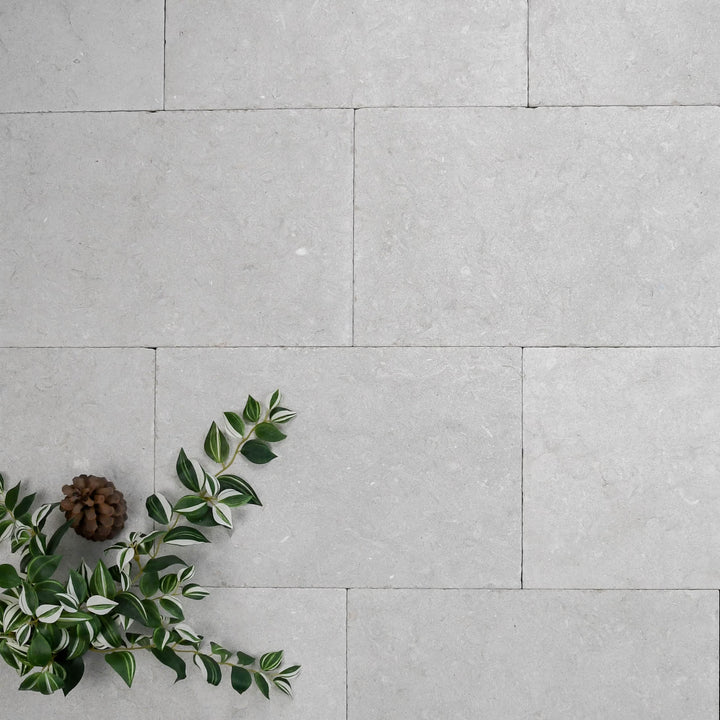 The Willow Limestone Collection