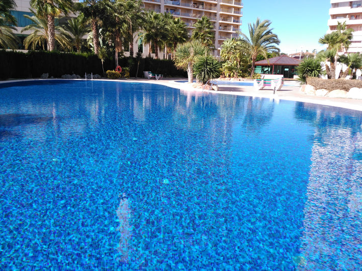 The Ezarri Topping Blueberries Pool Tile, view 2