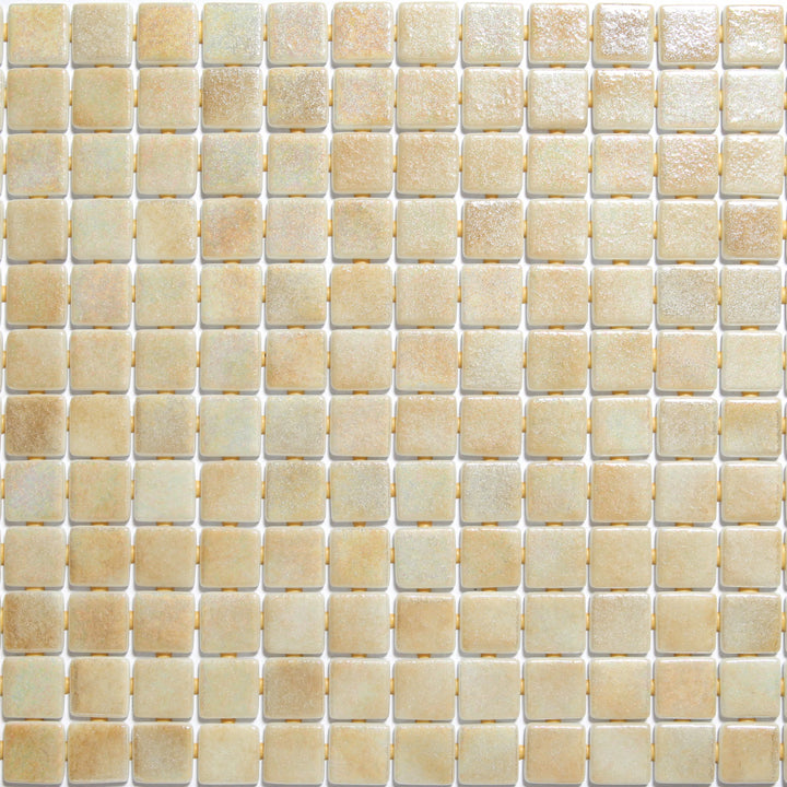 The Ezarri Iris Arena Pool Tile Collection