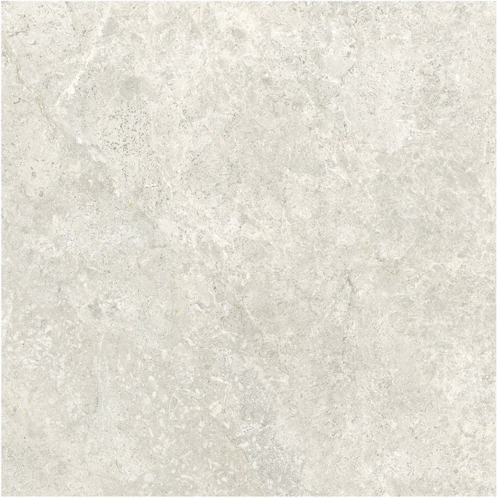 Atlantic Tundra Collection Beige Porcelain Tiles