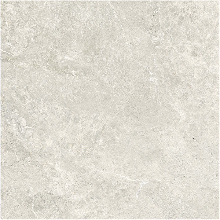 Atlantic Tundra Collection Beige Porcelain Tiles