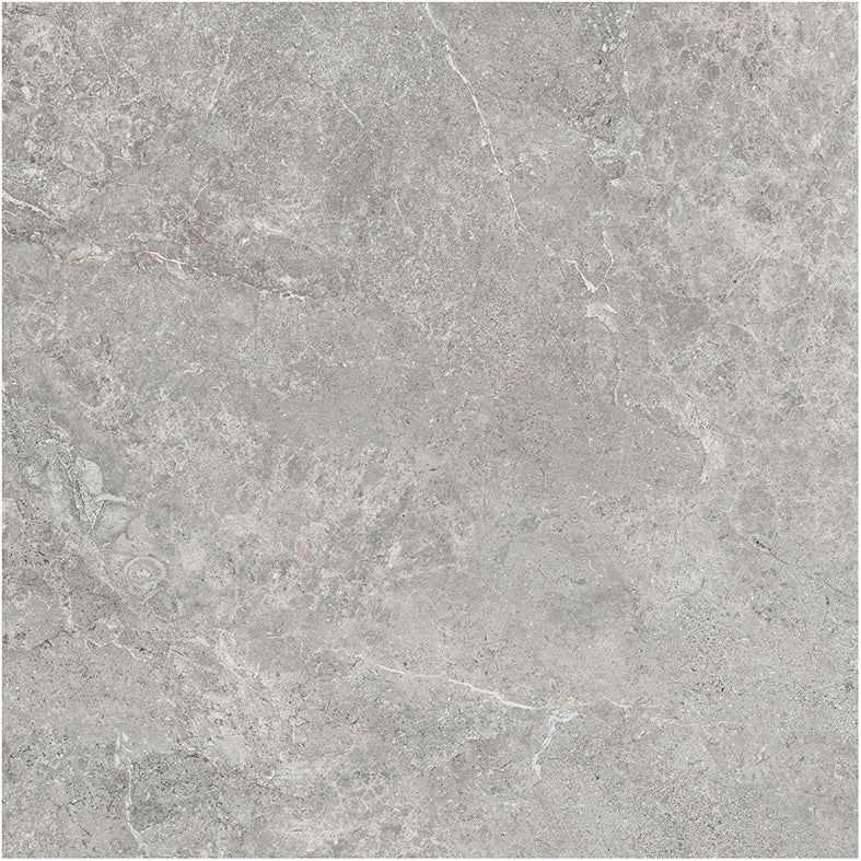 Atlantic Tundra Collection Grey Porcelain Tiles