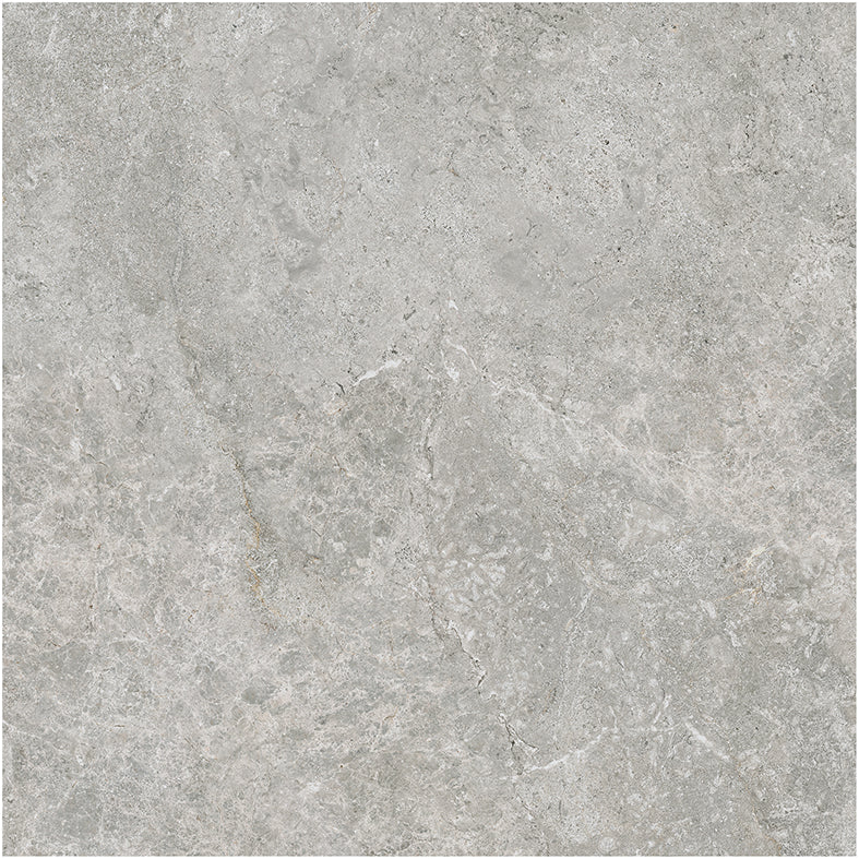 Atlantic Tundra Collection Grey Porcelain Tiles