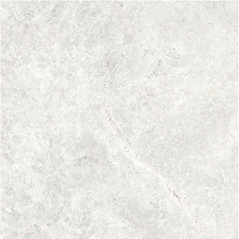 Atlantic Tundra Collection White Porcelain Tiles
