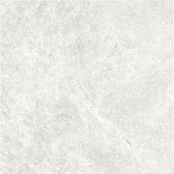 Atlantic Tundra Collection White Porcelain Tiles
