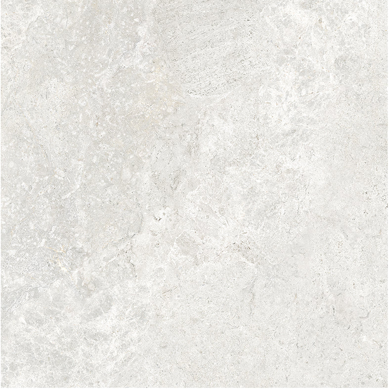 Atlantic Tundra Collection White Porcelain Tiles