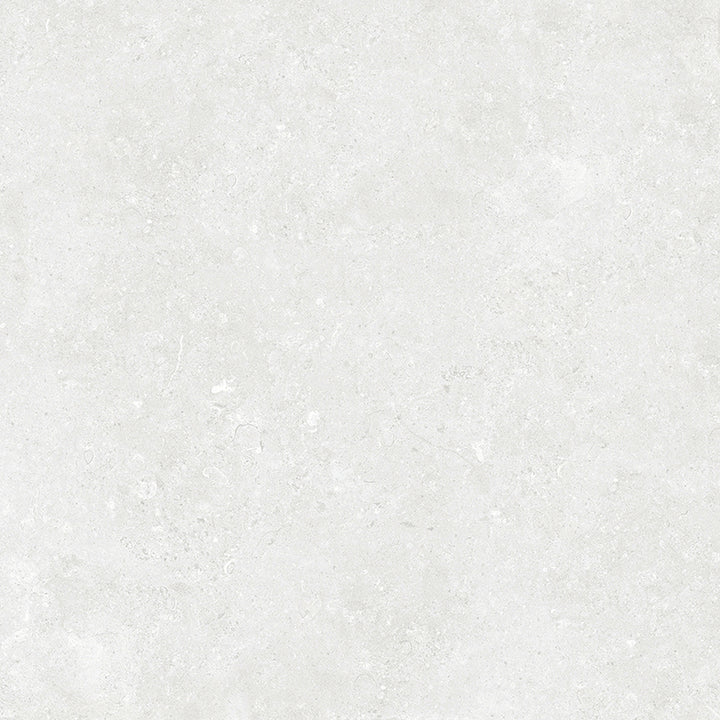 Bali Series Silver Pearl Matt & External Porcelain Tile