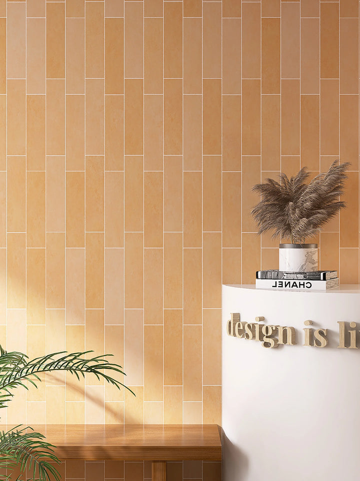 The Bermi Collection Porcelain Wall/Floor Subway Tiles