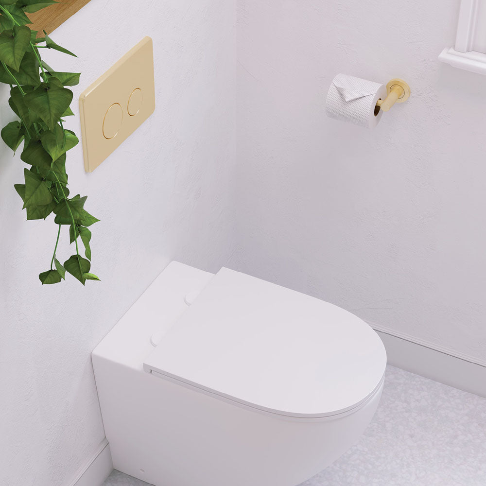 Fienza Kaya Toilet Roll Holder, Urban Brass