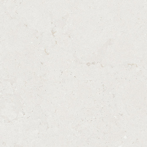 Project Stone Porcelain Matt Ex/In Tile Series