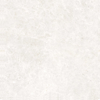 Arlo Series Ice Stone Look Porcelain Tiles