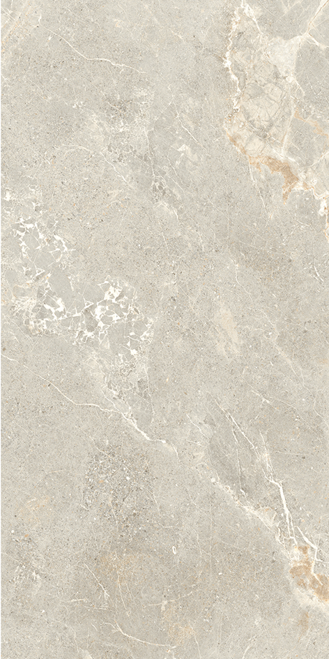 Ardesia Collection Griege Porcelain Tile