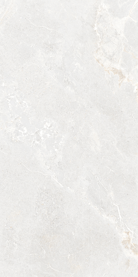 Ardesia Collection Silver Porcelain Tile