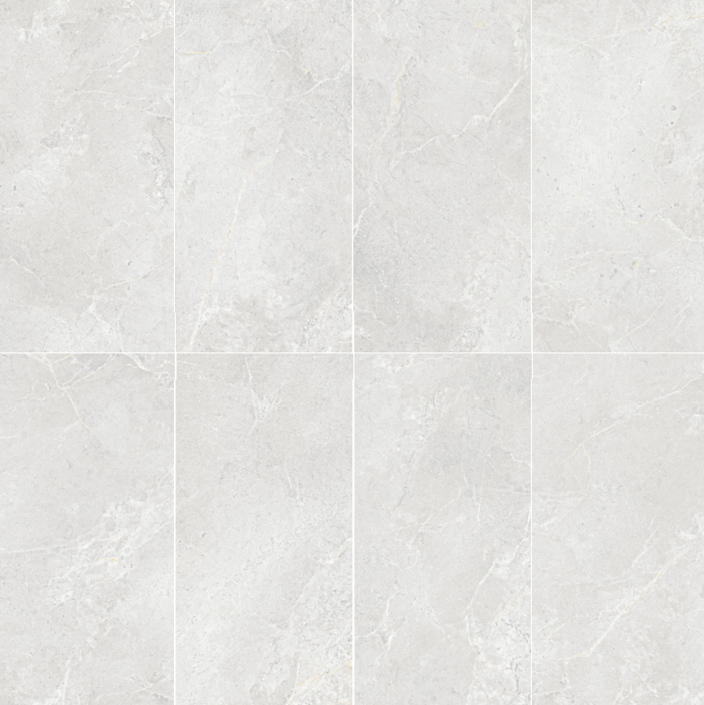 Athens Collection Argento Porcelain Tiles, Paver & Mosaic