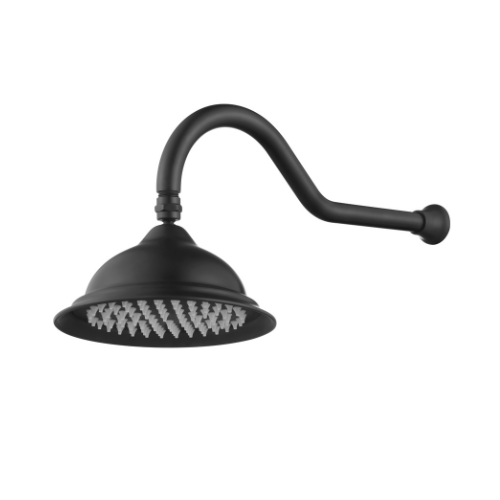 Modern National Bordeaux Shower Arm With Shower Head