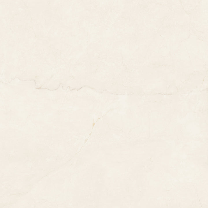 The Alabaste Botticino Look Matte Tile Collection