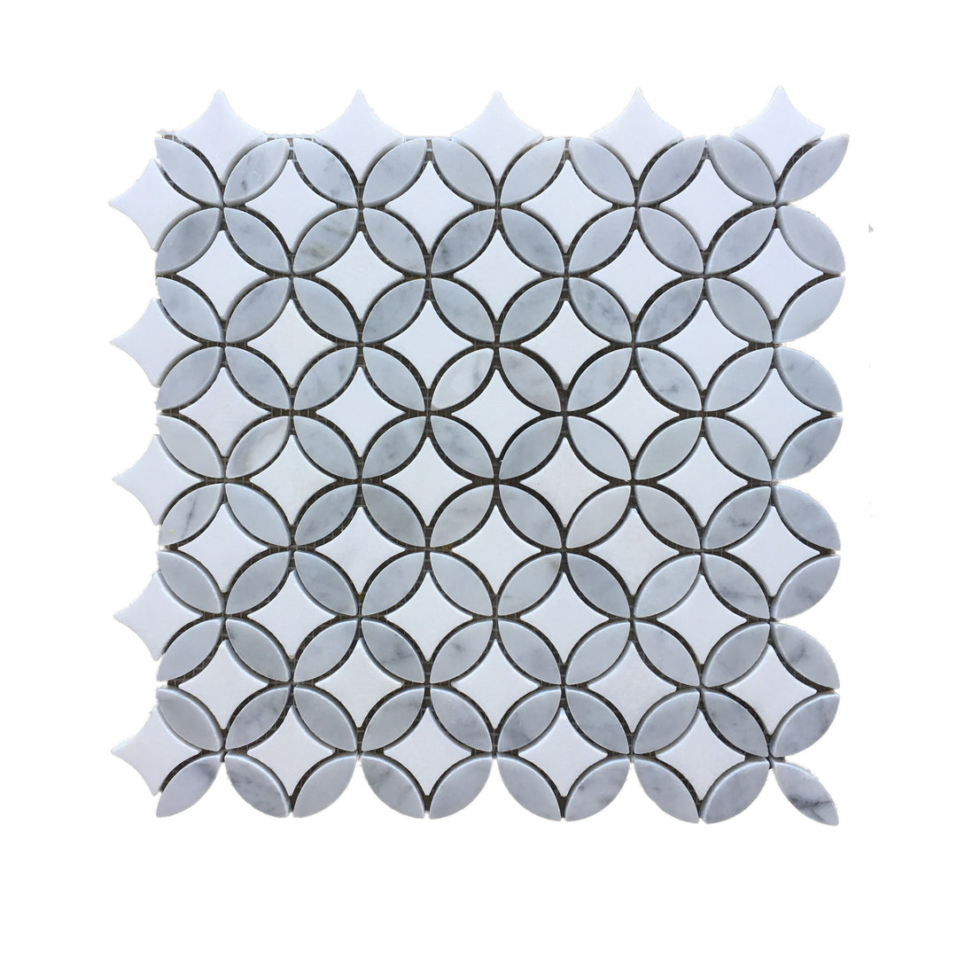 Ottawa Carrara and Thassos Mosaic