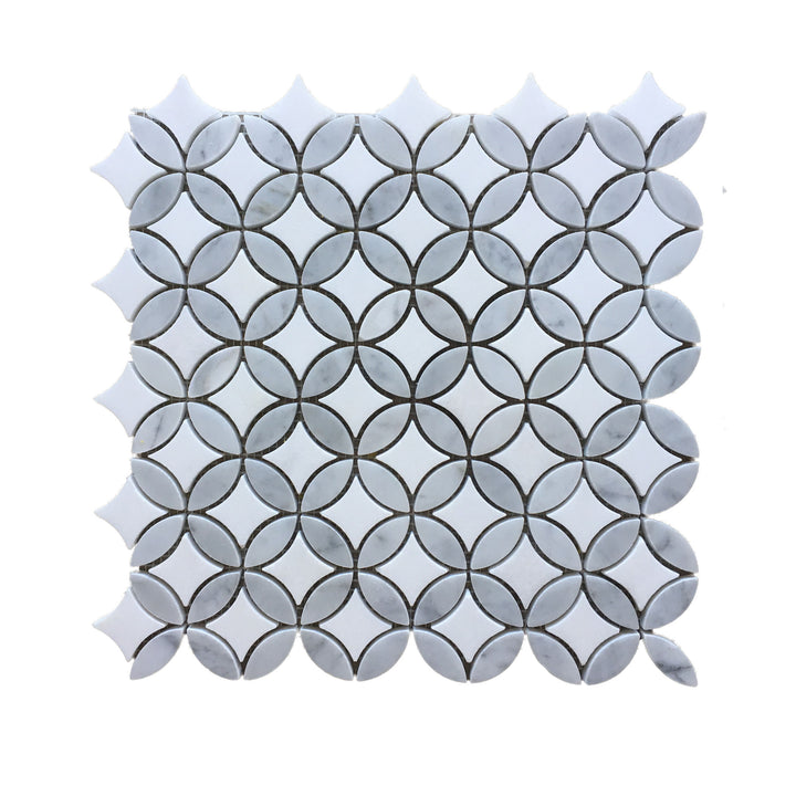 Ottawa Carrara and Thassos Mosaic