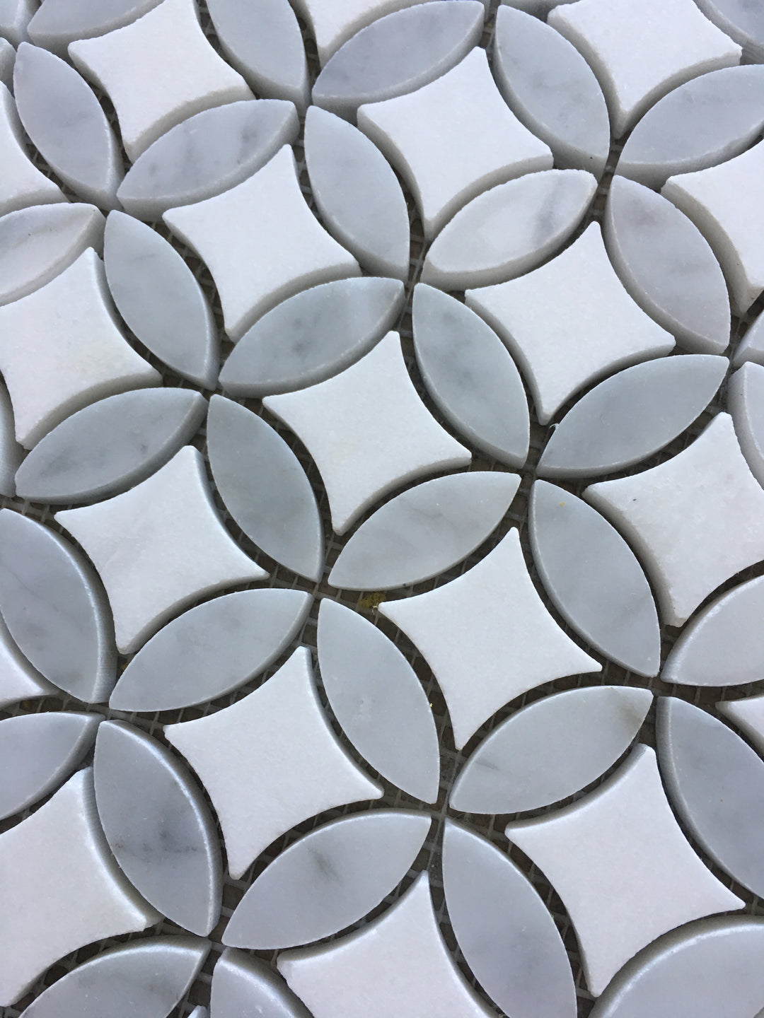 Ottawa Carrara and Thassos Mosaic