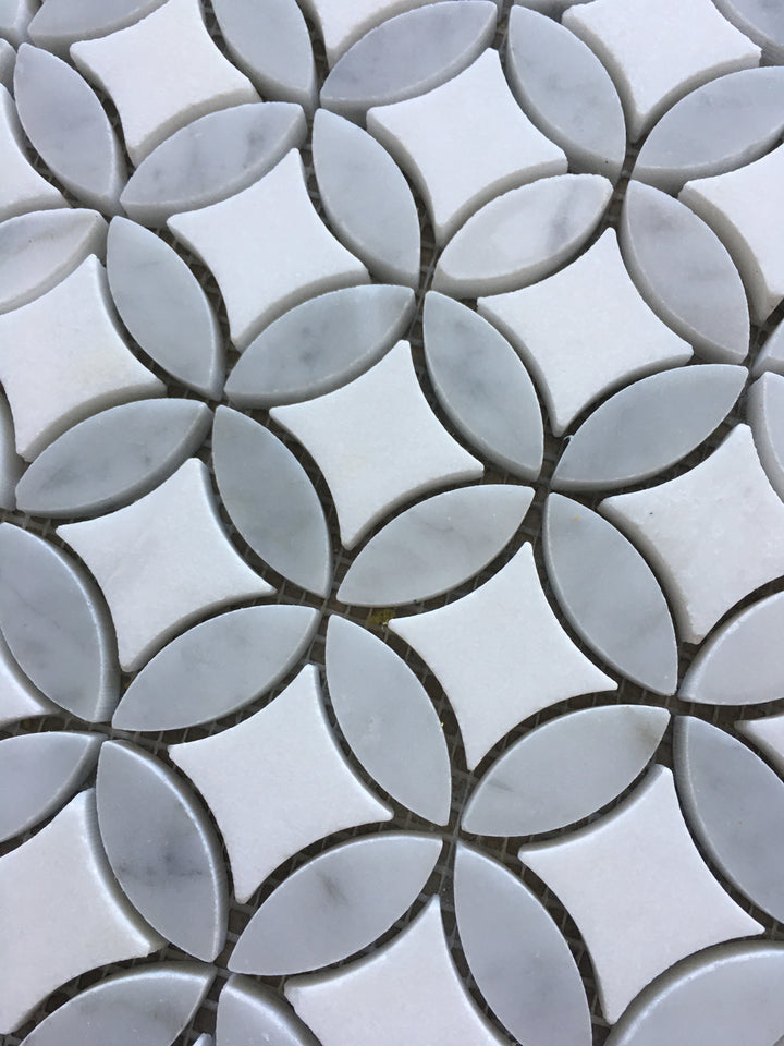 Ottawa Carrara and Thassos Mosaic