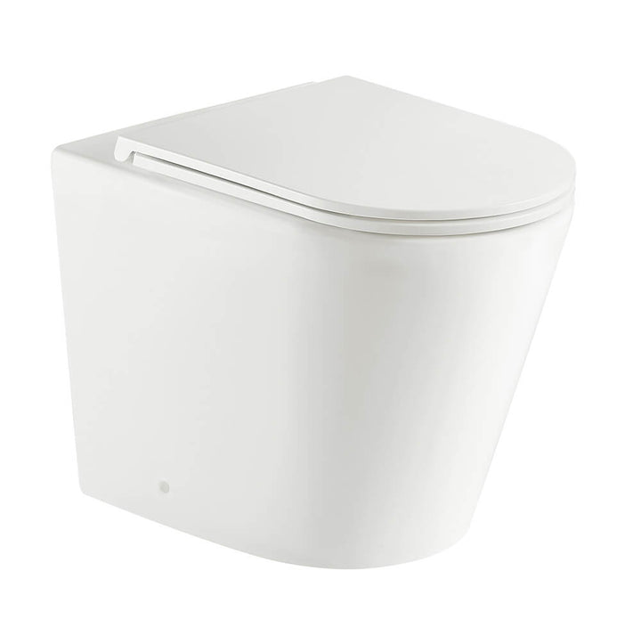 Turner Hastings Package - Fino WhisperFlush Matte White Floor Mounted Pan & Thin Seat + Geberit In-wall Cistern + Flush Plate