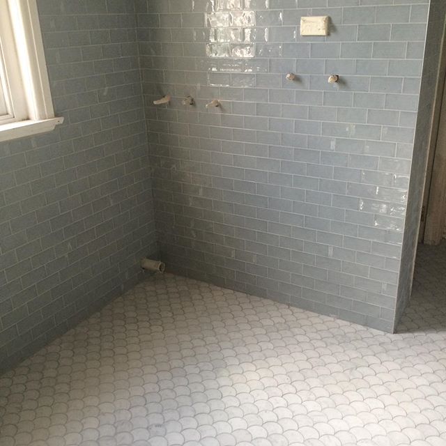 Carrara Honed Fan Mosaic