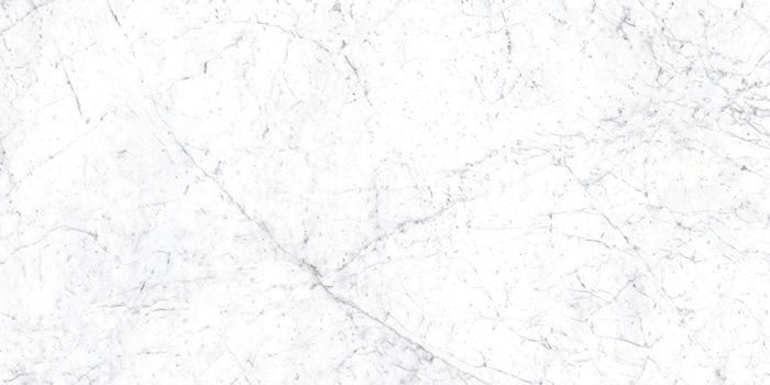 Euromarmo Carrara Venatino Porcelain Tile