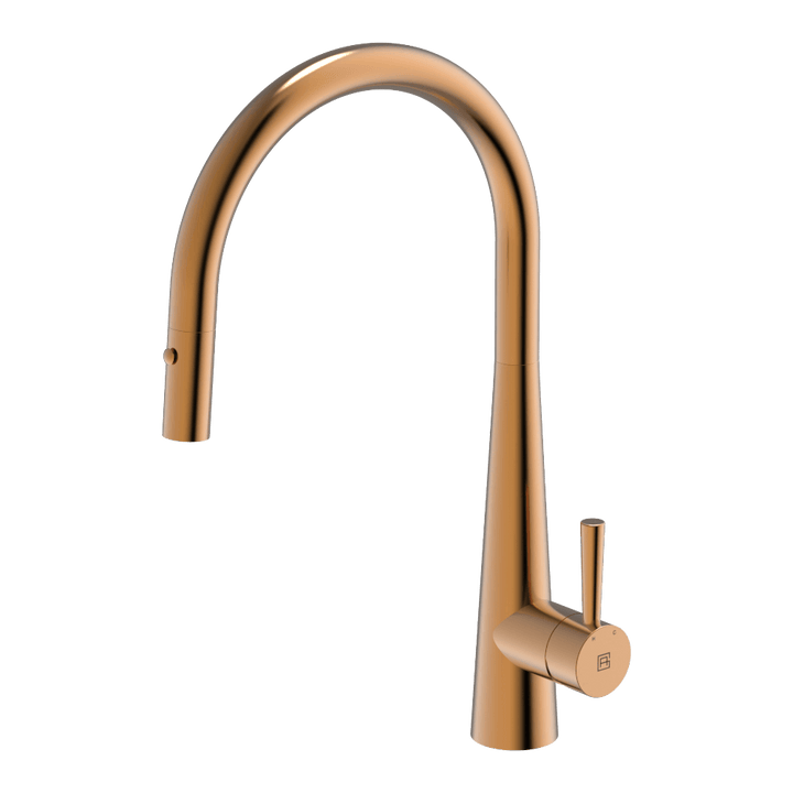 Gareth Ashton 304 Gooseneck Pull Out with Dual Spray Function Kitchen Mixer